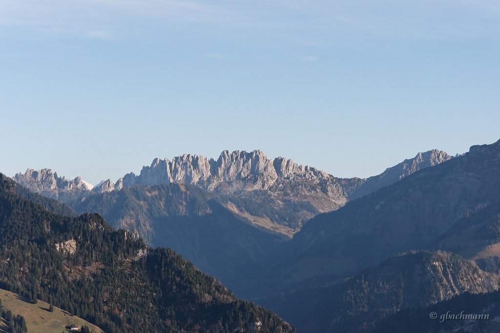 20081026_265